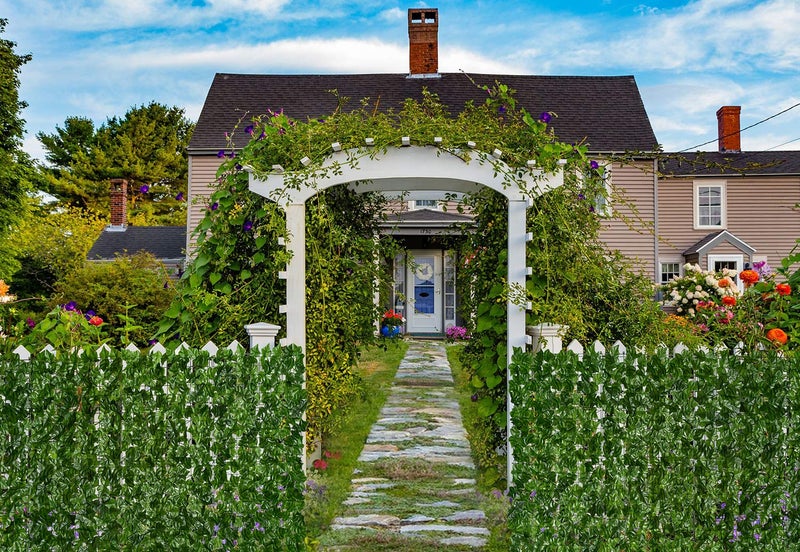 DearHouse Artificial Ivy Privacy Fence Wall Screen, 98.4x59in Artificial Hedges Fence and Faux Ivy Vine Leaf Decoration for Outdoor Garden Decor - Image 5